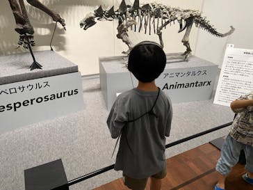 大阪市立自然史博物館に投稿された画像（2023/8/4）