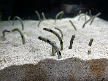 AOAO SAPPOROに投稿された画像（2023/8/4）