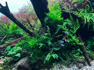 AOAO SAPPOROに投稿された画像（2023/8/4）