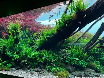 AOAO SAPPOROに投稿された画像（2023/8/4）