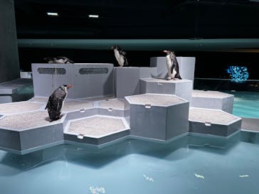 AOAO SAPPOROに投稿された画像（2023/8/4）