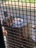 仙台うみの杜水族館に投稿された画像（2023/8/4）