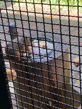 仙台うみの杜水族館に投稿された画像（2023/8/4）