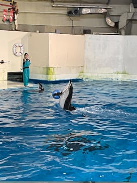 登別マリンパークニクスに投稿された画像（2023/8/4）