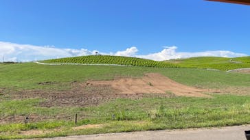 国営ひたち海浜公園プレジャーガーデンに投稿された画像（2023/8/4）