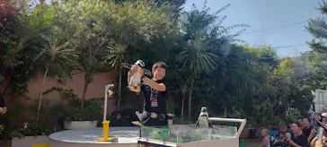 マクセル アクアパーク品川に投稿された画像（2023/8/4）