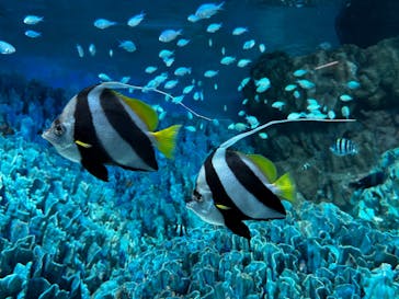 サンシャイン水族館に投稿された画像（2023/8/4）
