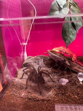 サンシャイン水族館に投稿された画像（2023/8/4）