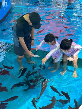 越前松島水族館に投稿された画像（2023/8/4）