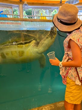 越前松島水族館に投稿された画像（2023/8/4）