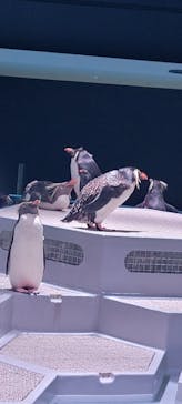 AOAO SAPPOROに投稿された画像（2023/8/4）