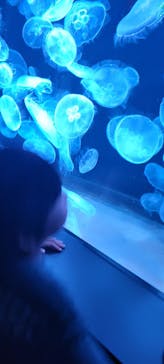 AOAO SAPPOROに投稿された画像（2023/8/4）