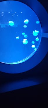 AOAO SAPPOROに投稿された画像（2023/8/4）