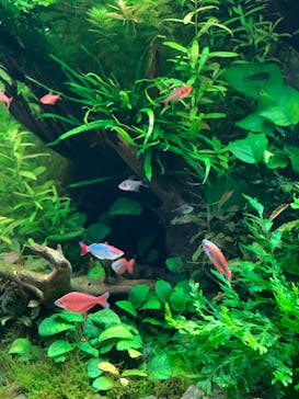 AOAO SAPPOROに投稿された画像（2023/8/4）