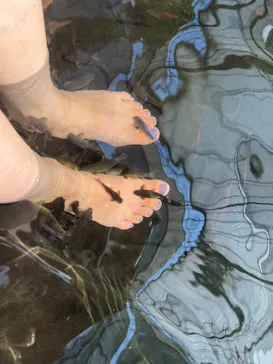 神戸どうぶつ王国に投稿された画像（2023/8/4）