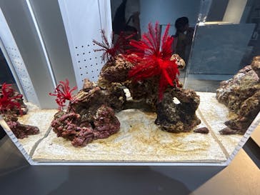 AOAO SAPPOROに投稿された画像（2023/8/4）