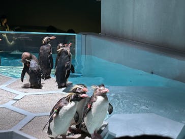 AOAO SAPPOROに投稿された画像（2023/8/4）