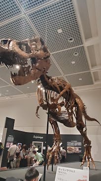 大阪市立自然史博物館に投稿された画像（2023/8/4）