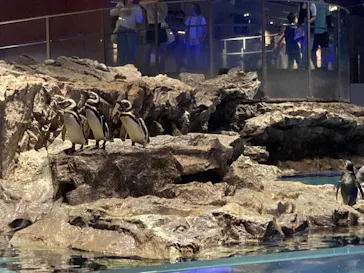 すみだ水族館に投稿された画像（2023/8/4）