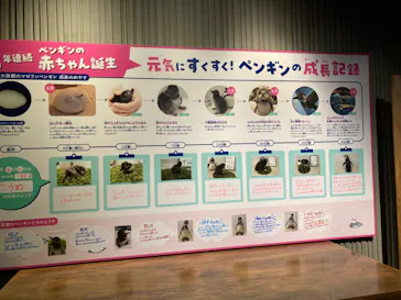 すみだ水族館に投稿された画像（2023/8/4）