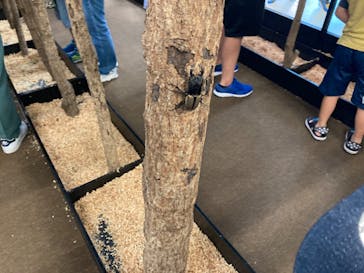 JOYPOLIS 特別イベントスペースに投稿された画像（2023/8/4）