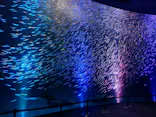 名古屋港水族館に投稿された画像（2023/8/4）