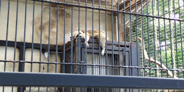宇都宮動物園に投稿された画像（2023/8/4）