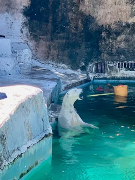 天王寺動物園に投稿された画像（2023/8/4）