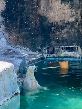 天王寺動物園に投稿された画像（2023/8/4）