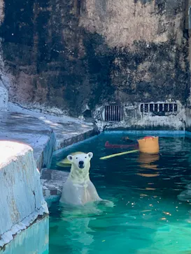 天王寺動物園に投稿された画像（2023/8/4）