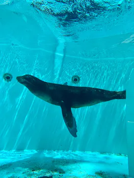 天王寺動物園に投稿された画像（2023/8/4）