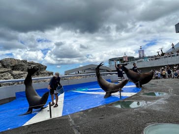大分マリーンパレス水族館 「うみたまご」に投稿された画像（2023/8/4）