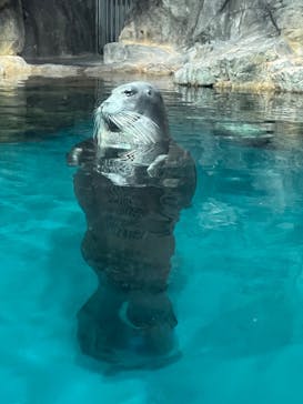 大分マリーンパレス水族館 「うみたまご」に投稿された画像（2023/8/4）