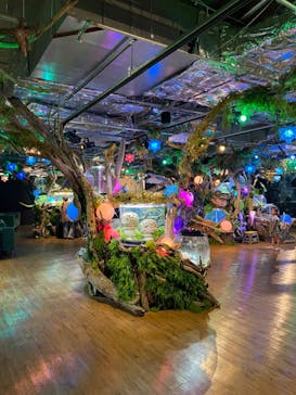 NARA IKIMONO MUSEUMに投稿された画像（2023/8/4）