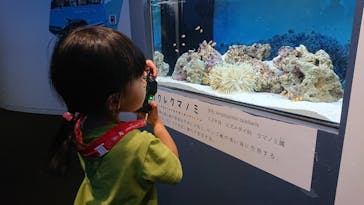 上越市立水族博物館 うみがたりに投稿された画像（2023/8/4）