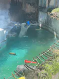 天王寺動物園に投稿された画像（2023/8/4）