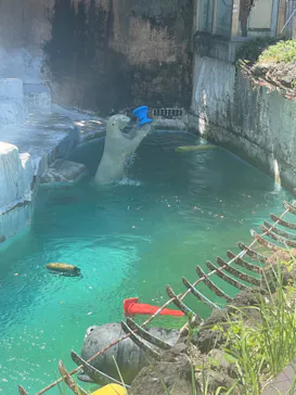 天王寺動物園に投稿された画像（2023/8/4）