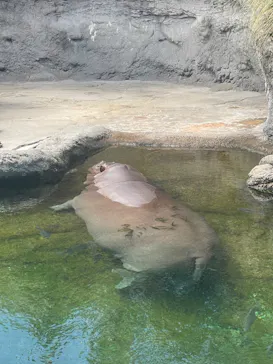 天王寺動物園に投稿された画像（2023/8/4）