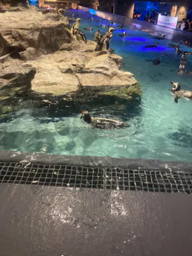 すみだ水族館に投稿された画像（2023/8/4）