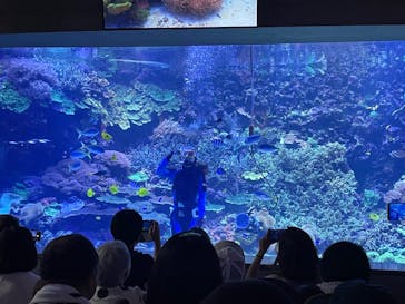 大分マリーンパレス水族館 「うみたまご」に投稿された画像（2023/8/4）