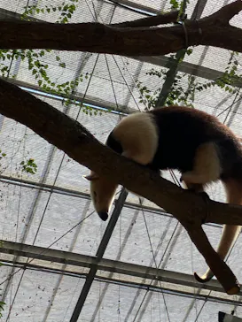 神戸どうぶつ王国に投稿された画像（2023/8/4）