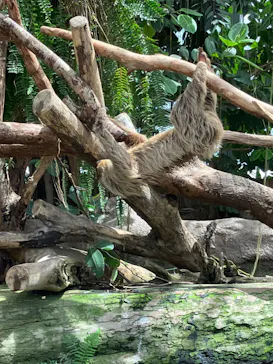 神戸どうぶつ王国に投稿された画像（2023/8/4）