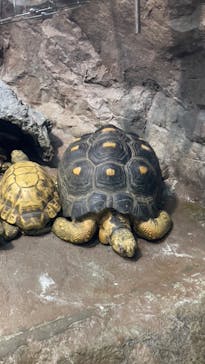 サンシャイン水族館に投稿された画像（2023/8/4）