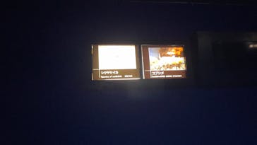 サンシャイン水族館に投稿された画像（2023/8/4）