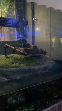 サンシャイン水族館に投稿された画像（2023/8/4）