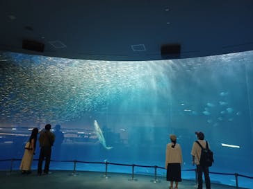 名古屋港水族館に投稿された画像（2023/8/4）