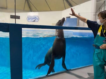 登別マリンパークニクスに投稿された画像（2023/8/4）