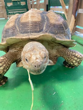 Moff animal world BIGHOPガーデンモール印西店に投稿された画像（2023/8/4）