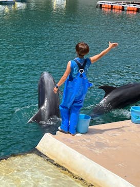 下田海中水族館に投稿された画像（2023/8/4）