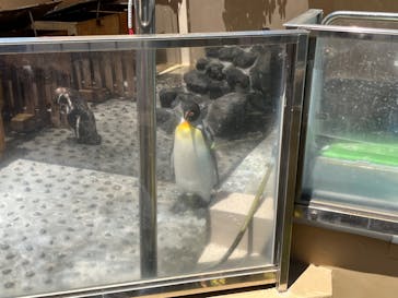 下田海中水族館に投稿された画像（2023/8/4）